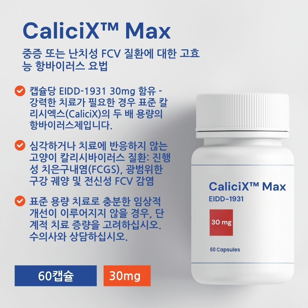 CaliciX™ Max 30mg | 중증 고양이 칼리시바이러스 감염증(FCV) 고용량 경구 항바이러스 캡슐 60캡슐