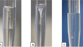 Understanding the Rivalta Test: A Key Diagnostic Tool for Detecting Wet FIP in Cats