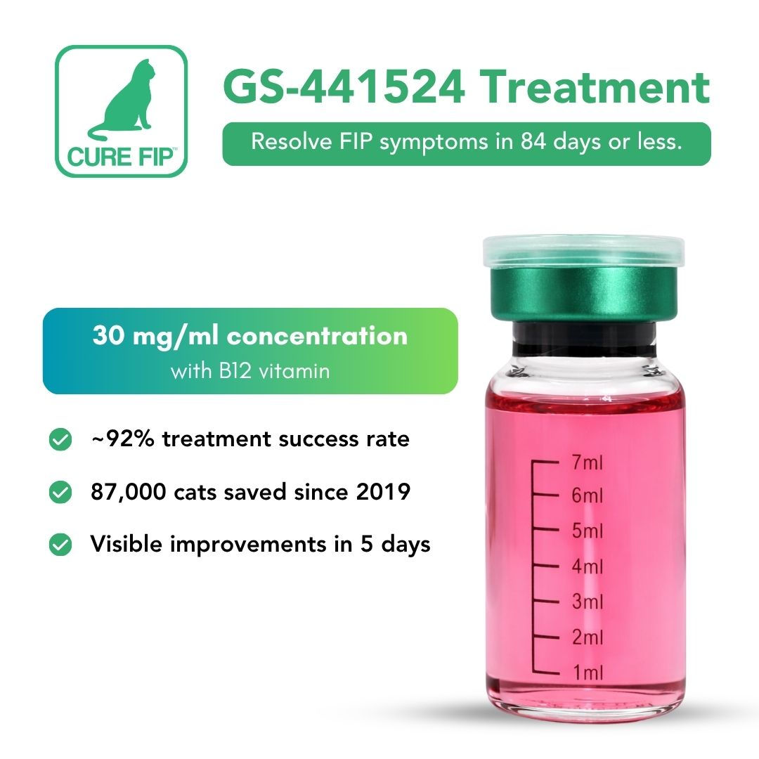 GS-441524 Antiviral con vitamina B12 | 30 mg/ml