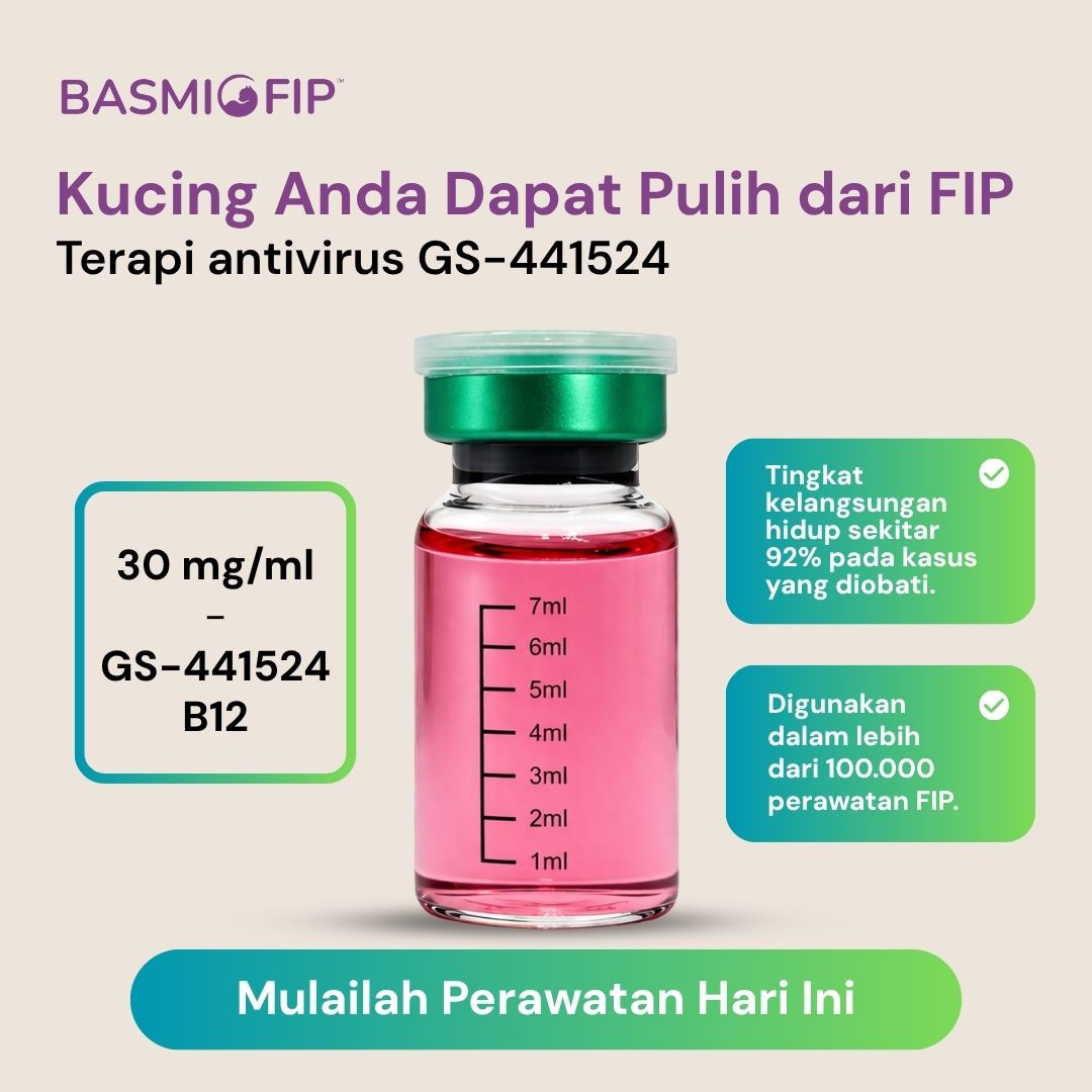 Konsentrasi 30mg/ml + Vitamin B12