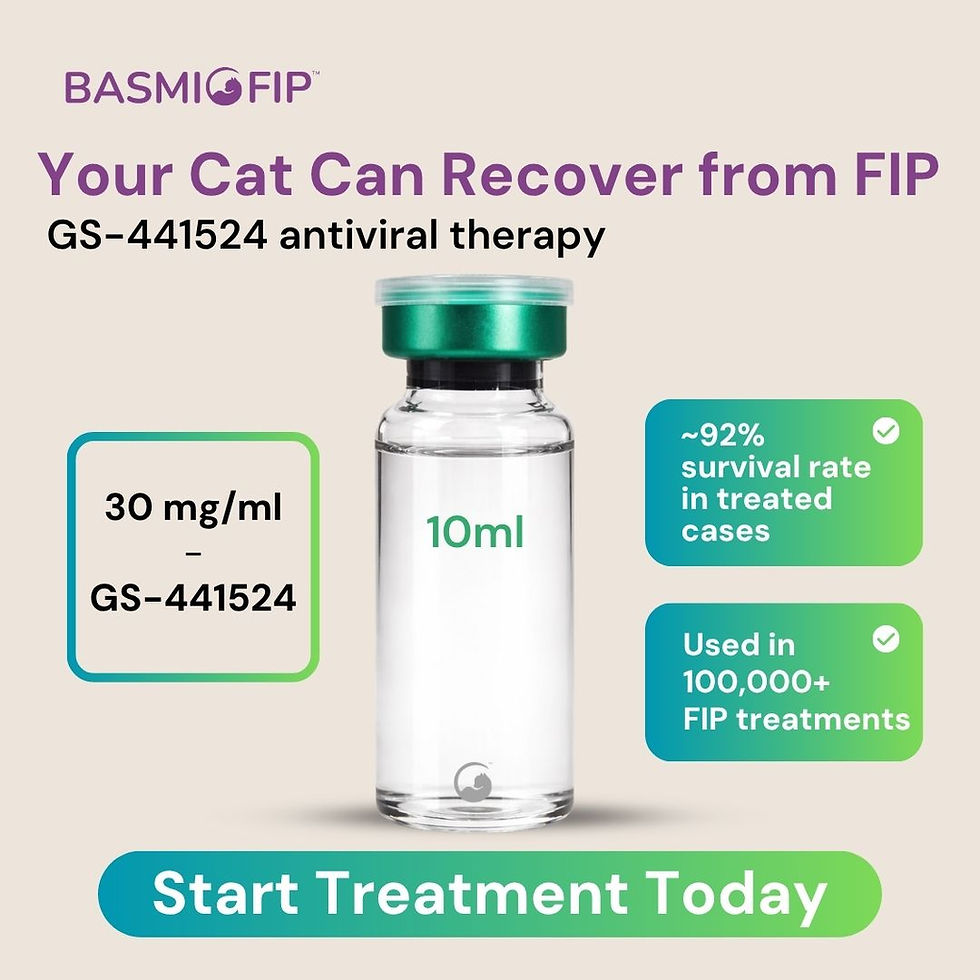 थंबनेल: बासमी एफआईपी एंटीवायरल (30एमजी/एमएल), 8एमएल