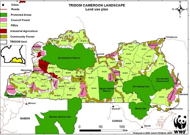 The TRIDOM landscape, Cameroon