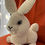 Miniaturbild: Kuschelhäschen 