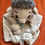 Miniaturbild: Schnuffeltuch Igelchen