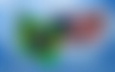 As relações México-Estados Unidos e Brasil-Estados Unidos: reflexões sobre bilateralismos contrastantes