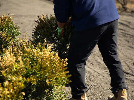 Installation of plant