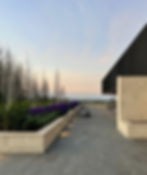 Oyster Limestone TraditionalBlock