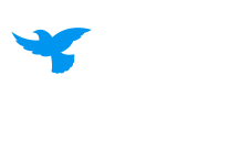 wesley_lifeforce.png
