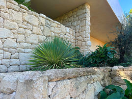 Cream & Biscuit Limestone Freestone