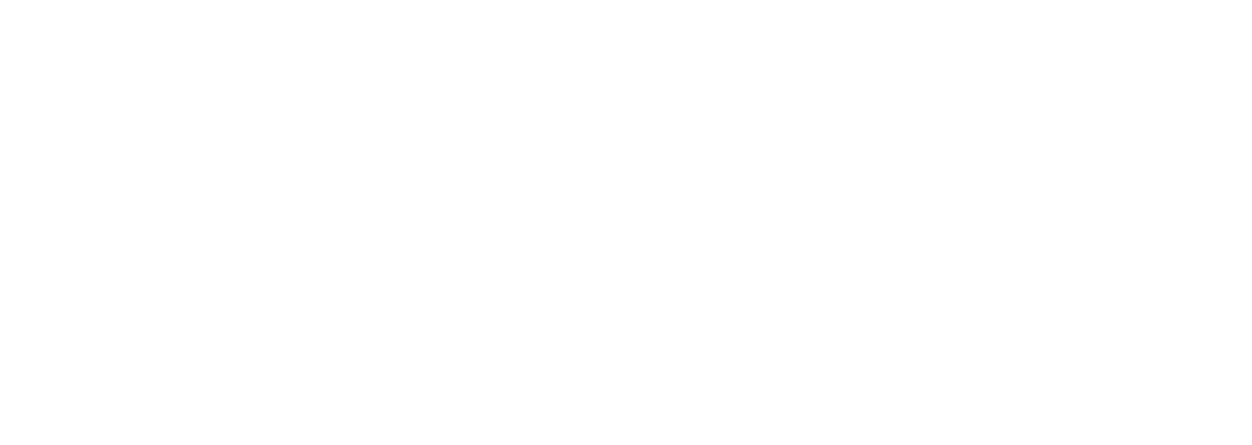 Energy Safe_logo_white.png