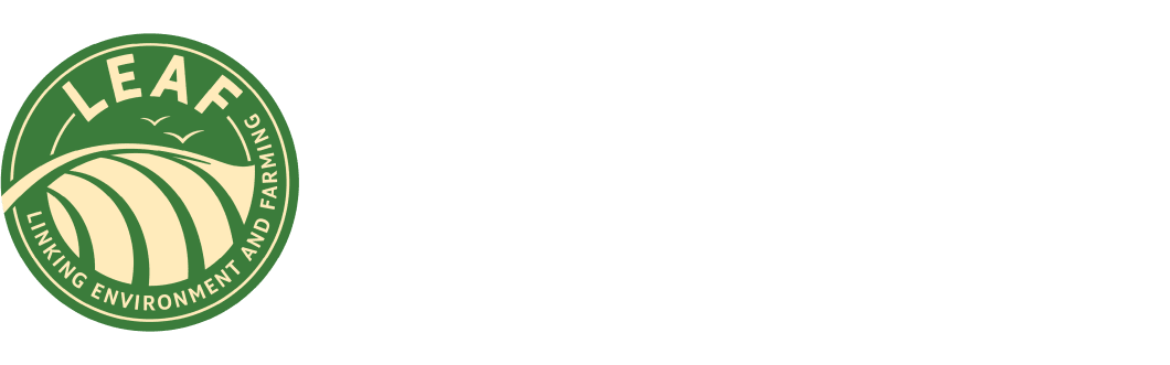 LM-logo-for-website (1).webp