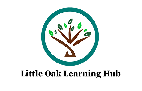Learning Hub Logo (no background).png