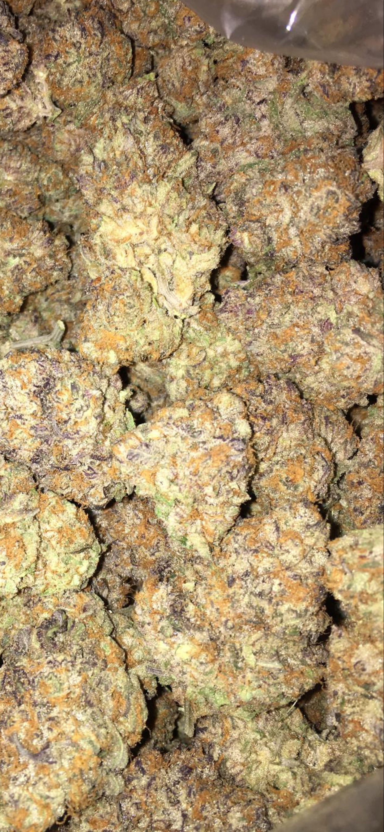 Girl Scout Cookies 