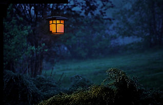 "Fog-shrouded forest with dim moonlight filtering through tall trees, creating a haunting atmosphere typical of Northeast haunted attractions"