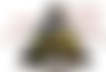 La Pirámide Nutricional o alimentaria y su composición (PARTE 5)