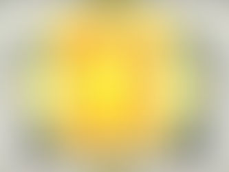 APTITUD FÍSICA (PARTE 2)