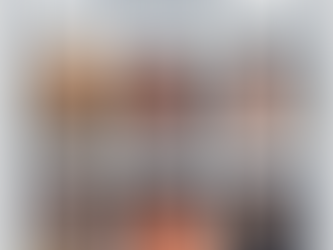 Author H. L. Howard participated in PWR Author Signing Event