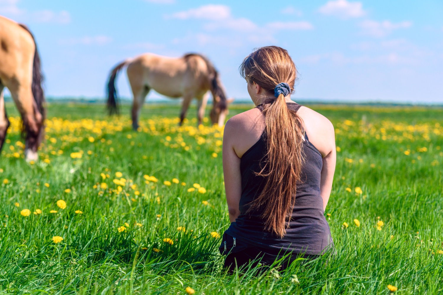 Meadow-Tation: Peace-out With Horses!