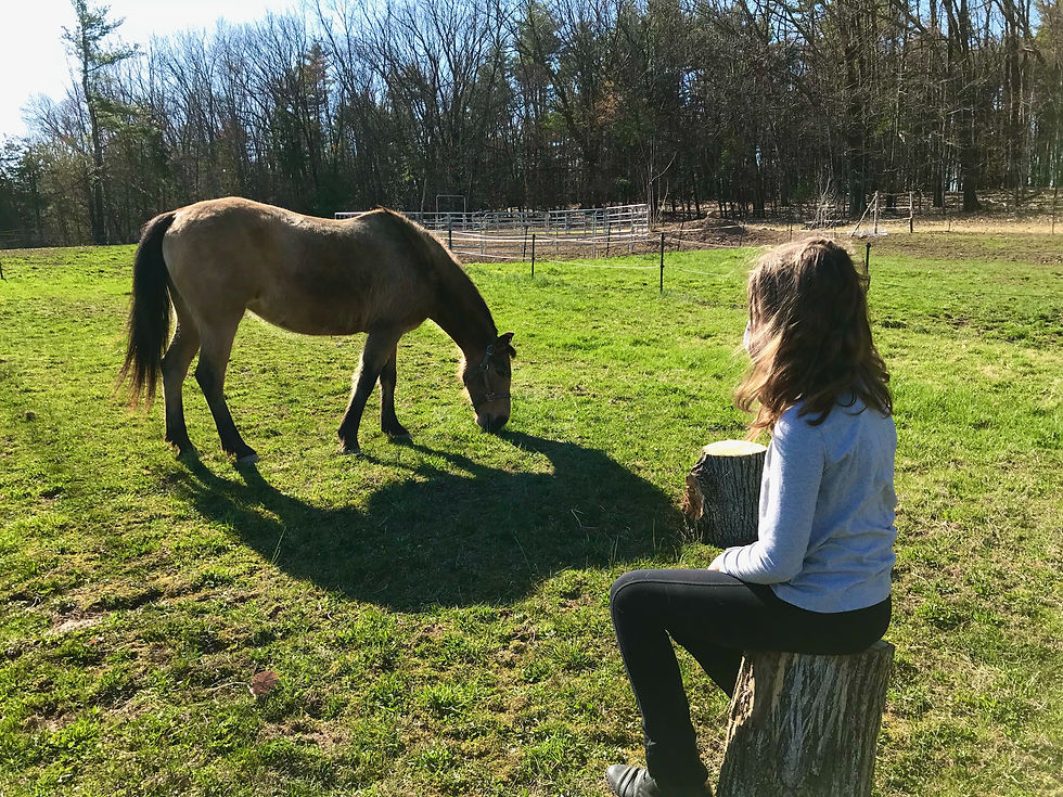 Thumbnail: A Day-in-the-Life: Equestrian Immersion