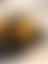 Tartelette- kippenlever- mimolette
