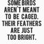 Writer: doctordiaz