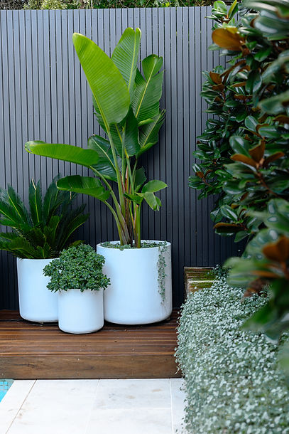 PLUNGIE X BRANCHING OUT-68.jpg