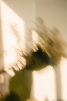 growing you portrait 29.jpg