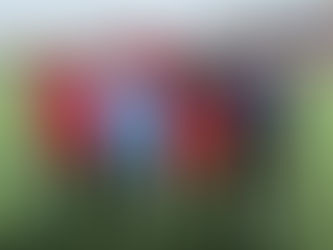 Ħamrun Ħanin Launches Fund Raising Initiative in Support of Special Olympics Malta