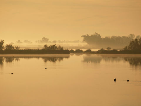 Zwischen Realität und Zeichnung