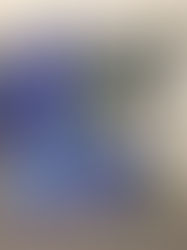 Die Zukunft im internationalen Dialog