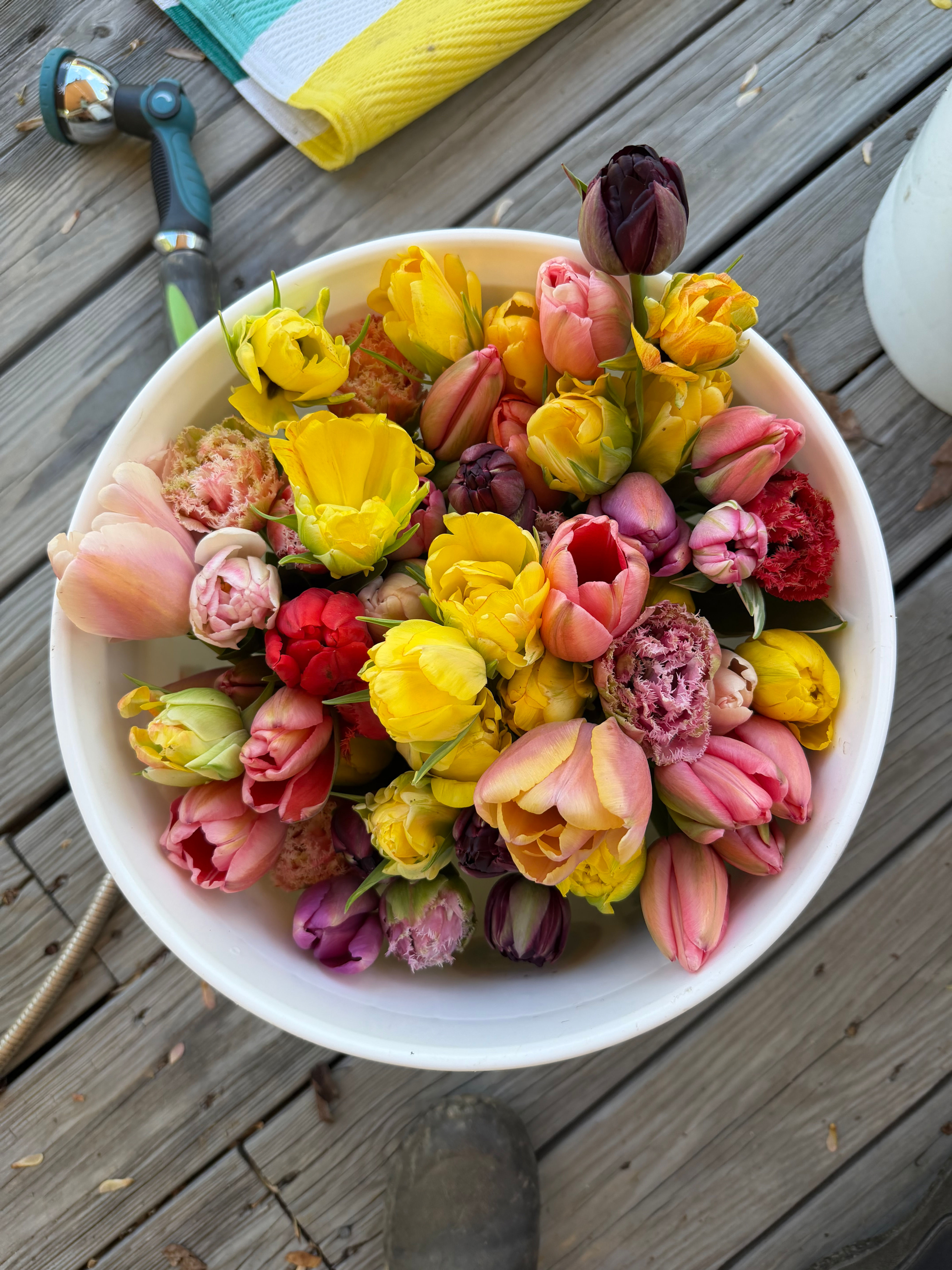 Bulk Flowers