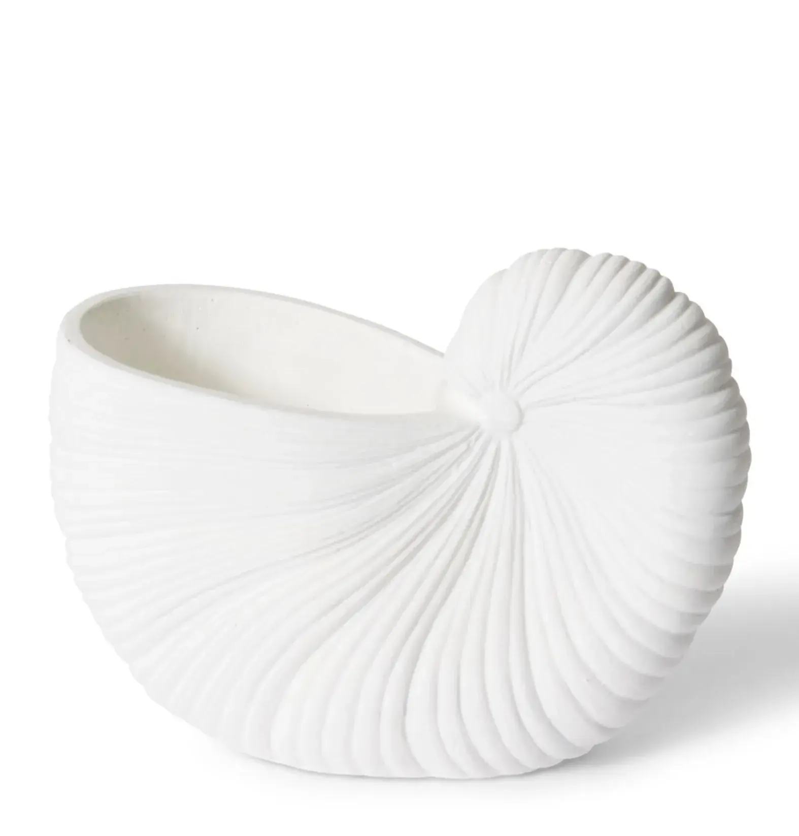 White Conch Shell Pot