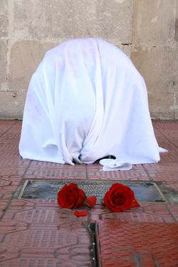 In Situ