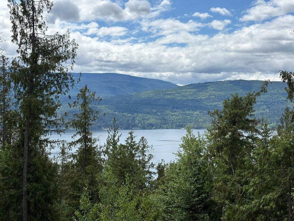 mountainside-lodge-nest-retreat-shuswap