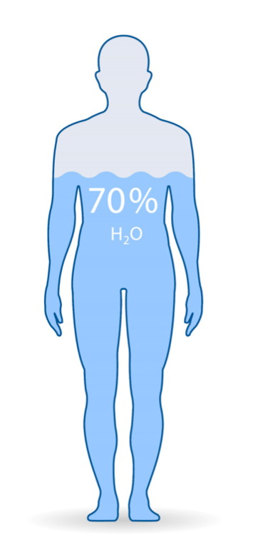 L'hydratation - Le corps
