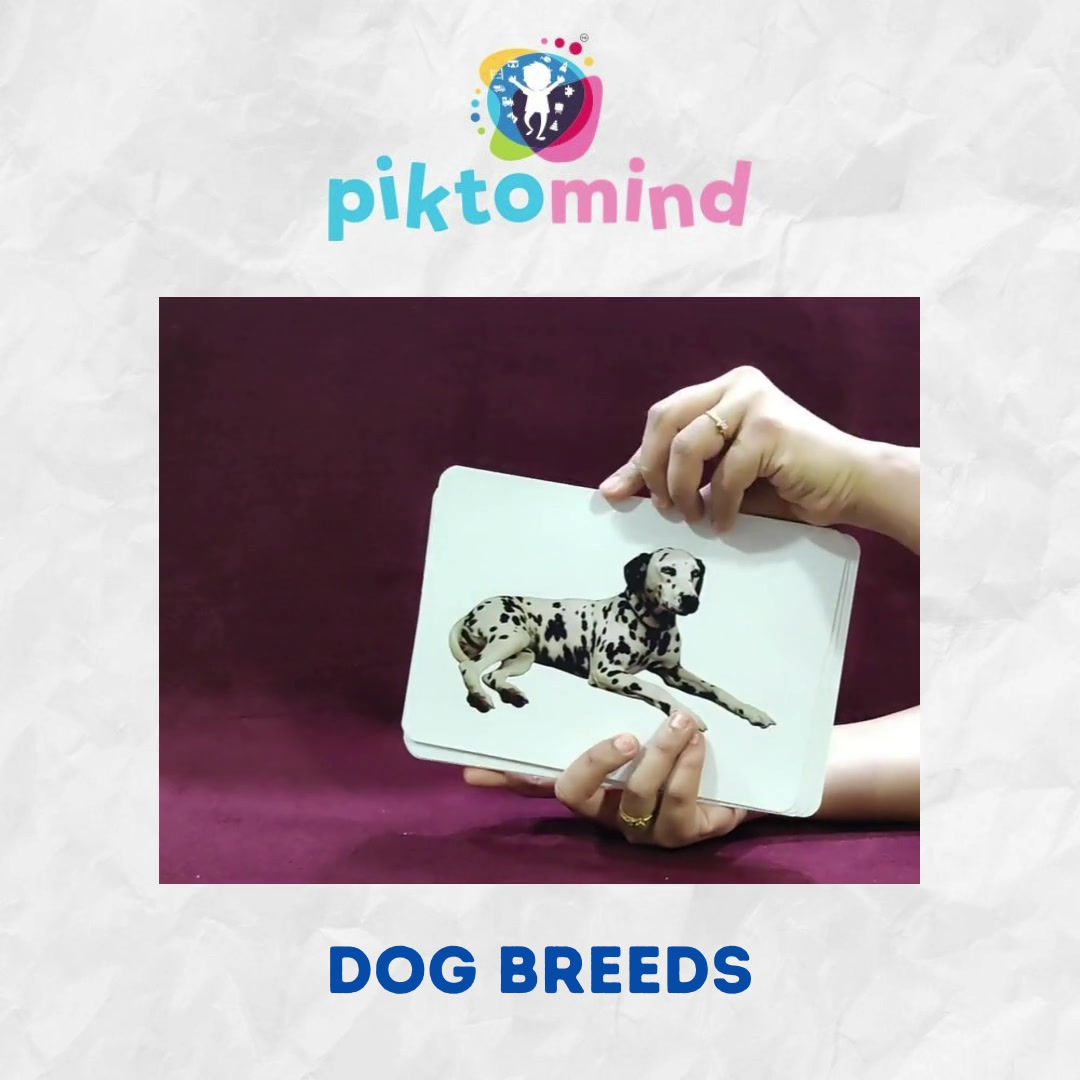 Piktomind: Dog Breeds
