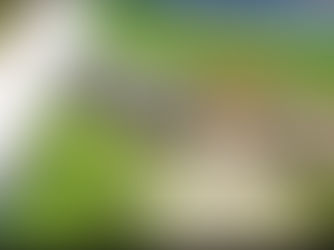 Video verslag TRIS Dag