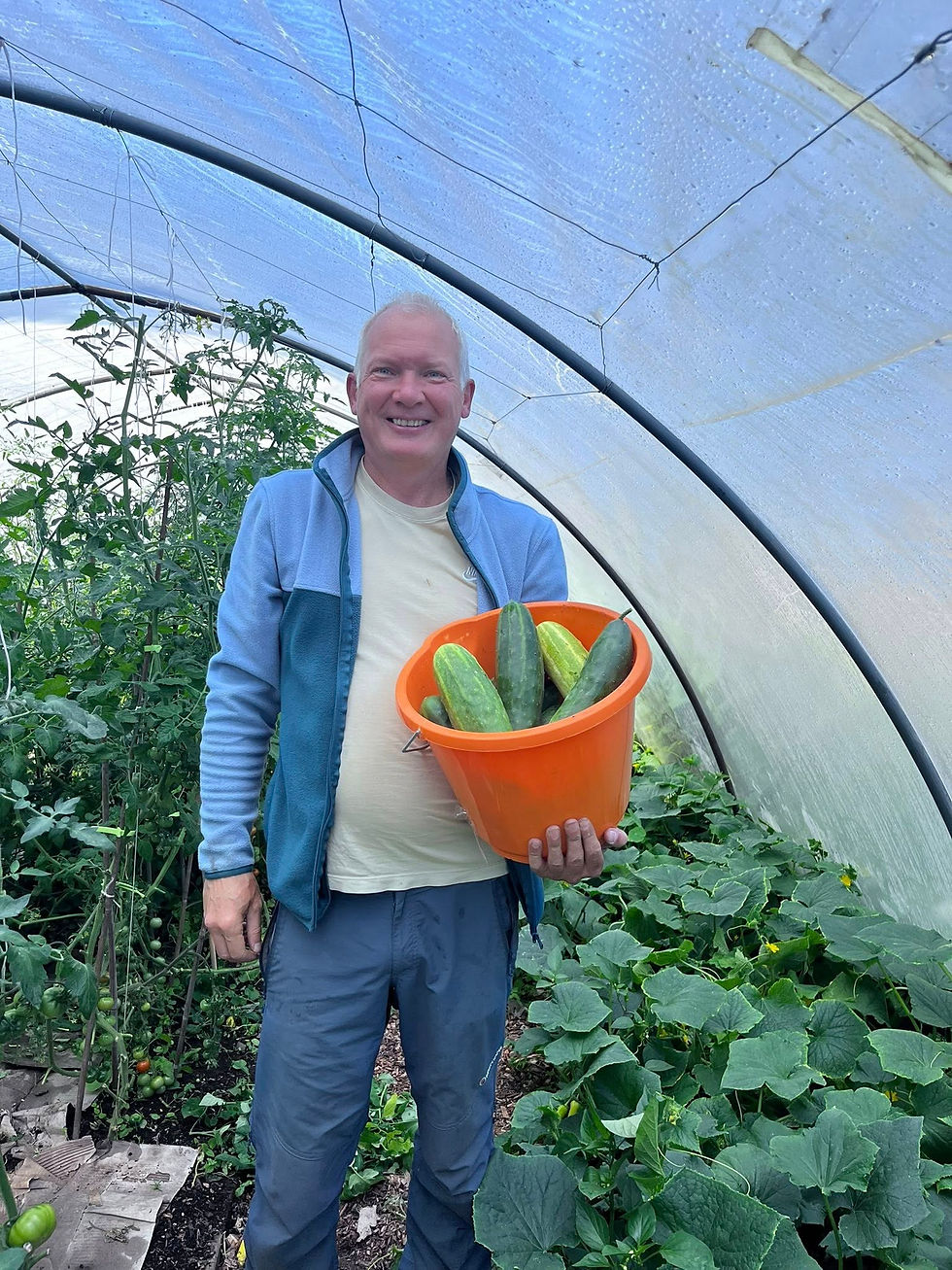 Check the size of these cucumbers!