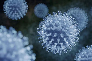 virus.jpeg