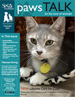 SPCA Florida Newsletter November 2019