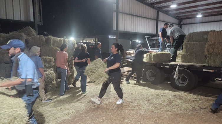 Supplies and donations for animals affected by Hurricane Ian