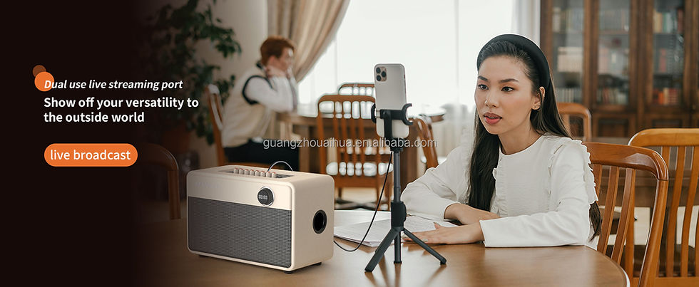 Thumbnail: SANSUI D-8 smart speakers Portable Bluetooth Party Speaker full range Powerful L