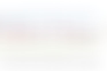 [지식정보] 2011 아웃도어 브랜드