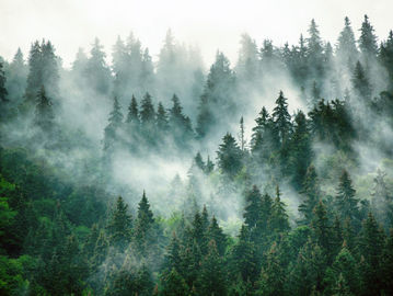 [지식정보] 기후 위기에 대응하는 새로운 재무 회계기준의 시작