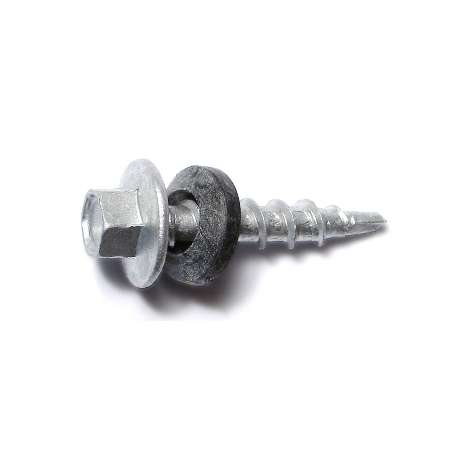 10 x 1 Pole Brn Silv 5 lb 738287095845