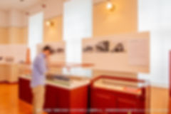 20190708新橋流線形展示Web写真-3 2.jpg