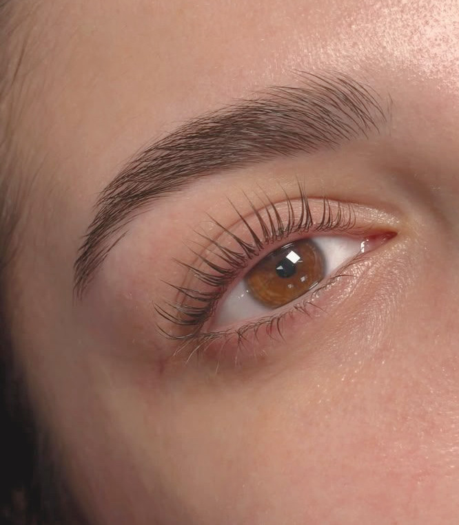 Brows and lashes