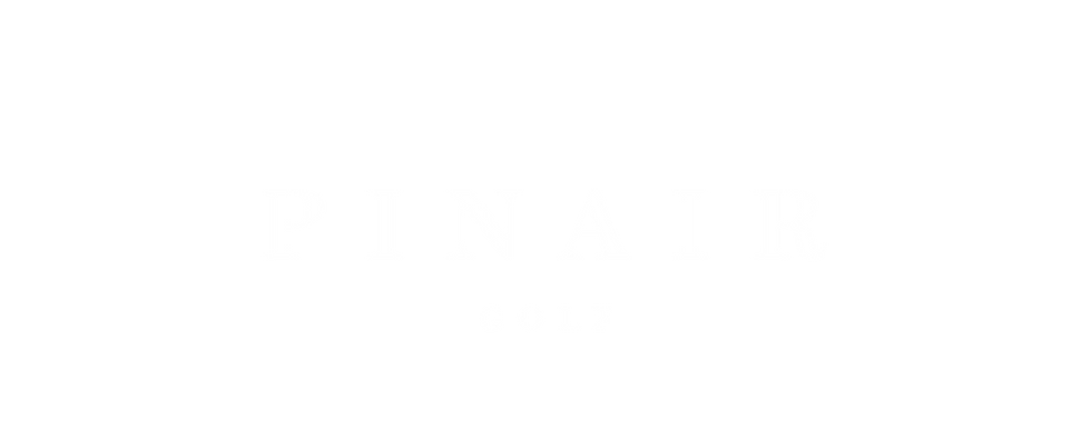 PinAir 2.png