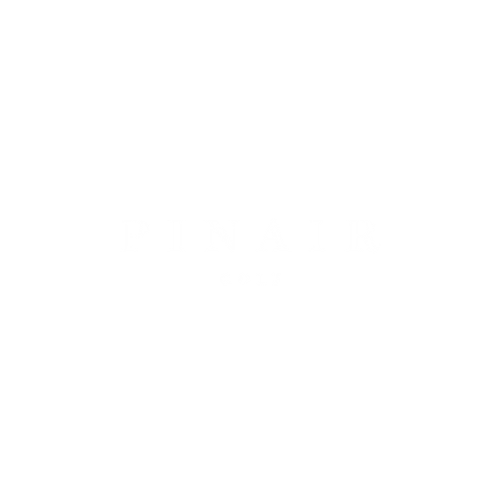 PinAir 2.png