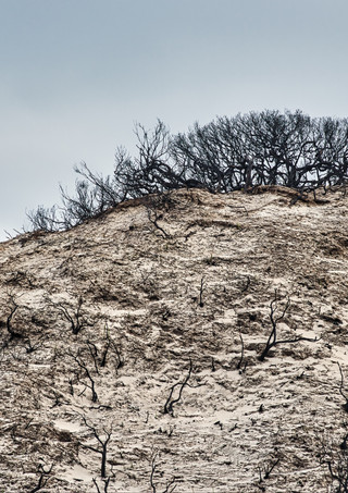 hillside dune